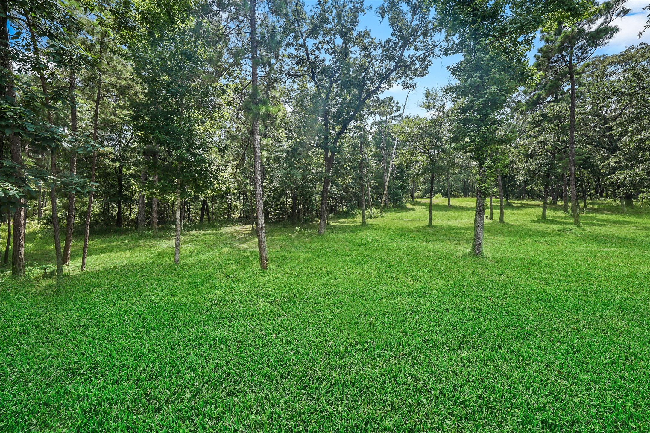577 Winding River Road South Oakhurst, TX 77359 - Photo 27 of 44