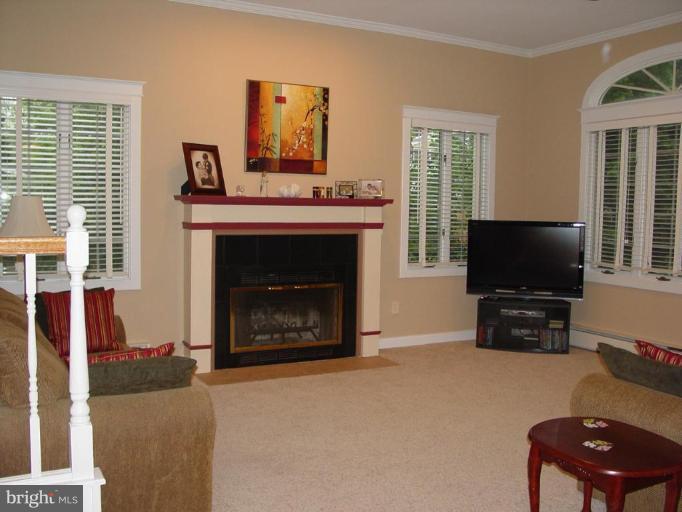 520 Anneslie Road Baltimore, MD 21212 - Photo 10 of 29 Family room addition w/ 9-foot ceilings, full bath