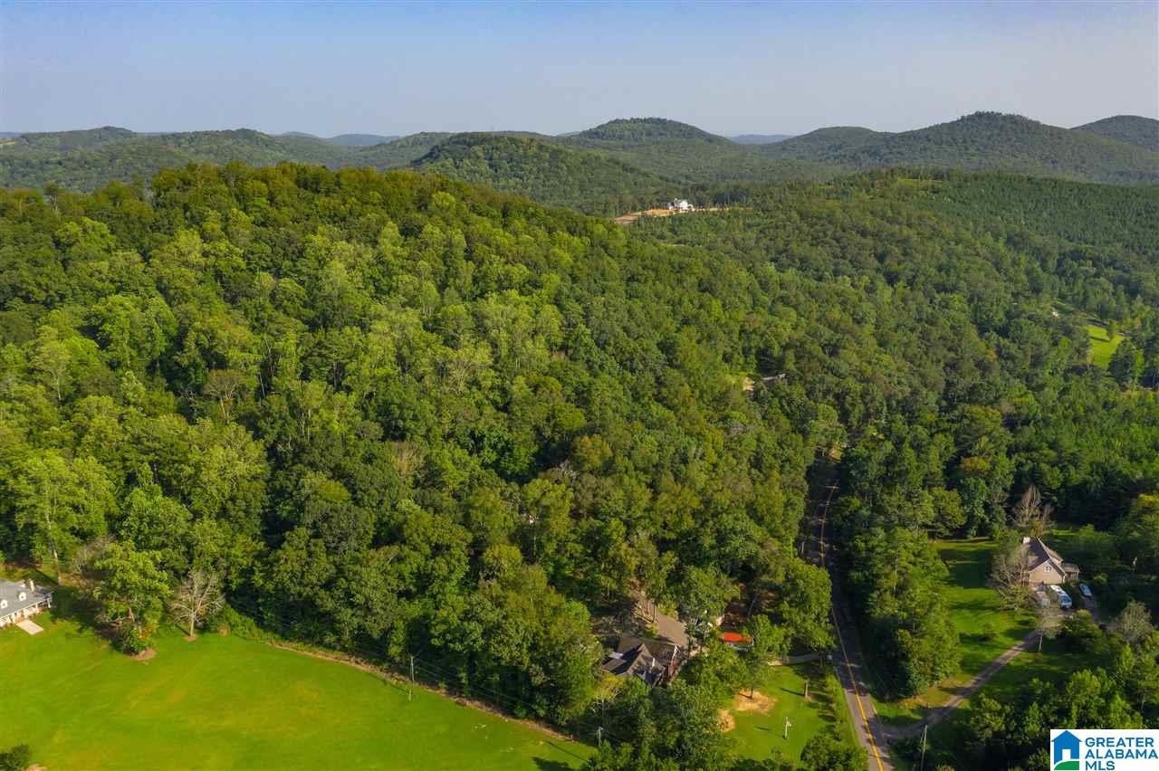 5901 Miles Spring Road Pinson, AL 35126 - Photo 33 of 36