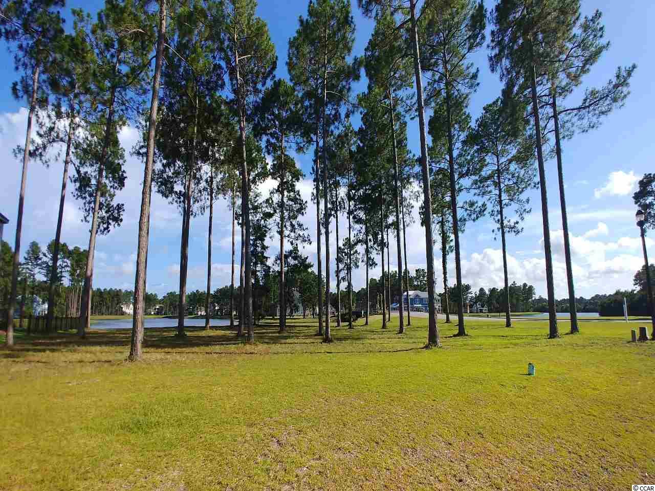 Lot 433 Cottage Shell Drive Myrtle Beach, SC 29579 - Photo 3 of 17 Gallery Image 3