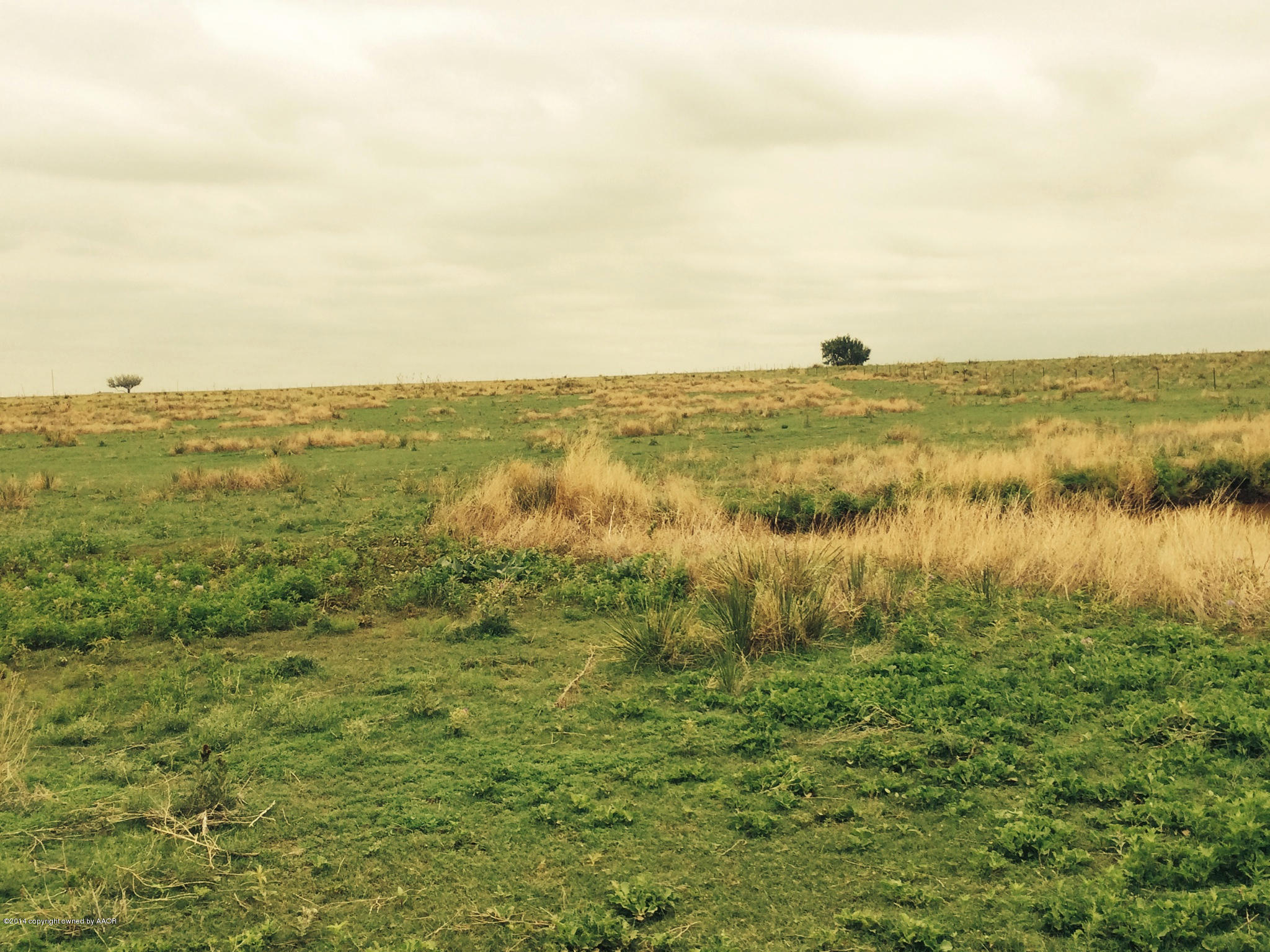 6661 West Cemetery Road Canyon, TX 79015 - Photo 10 of 15 photo 2