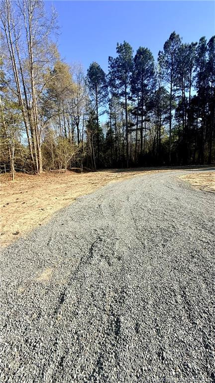 249 Hazel Lane Cameron, NC 28326 - Photo 46 of 47 Photo 46