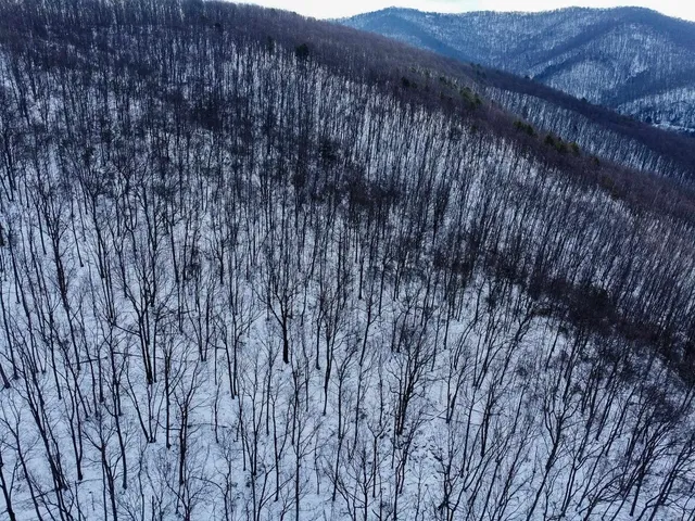 a view of a pathway with a wooden fence
