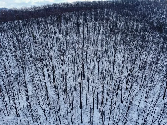 a view of a house with a mountain and trees