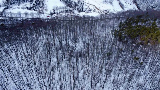 a view of wooden fence