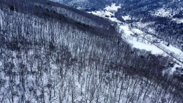 a view of a houses with a yard