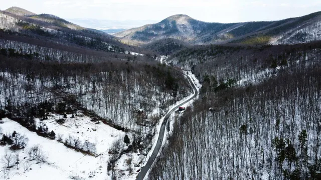 a view of a dry yard with trees