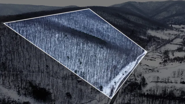 a view of a back yard