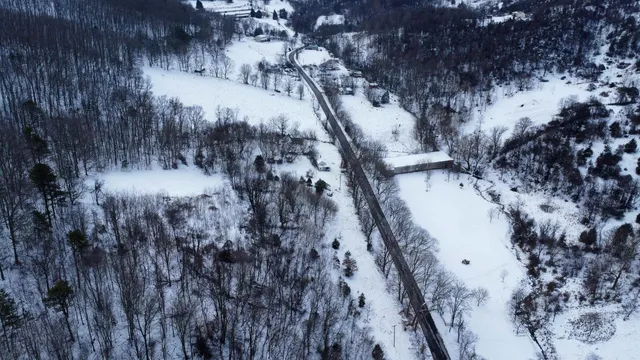 $175,000 | Tbd Cubbage Hollow Road, Stanley, VA 22851