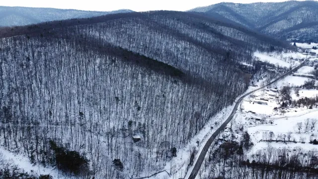 $175,000 | Tbd Cubbage Hollow Road, Stanley, VA 22851