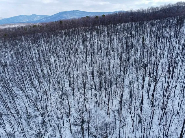 a view of a dry yard with mountains in the background