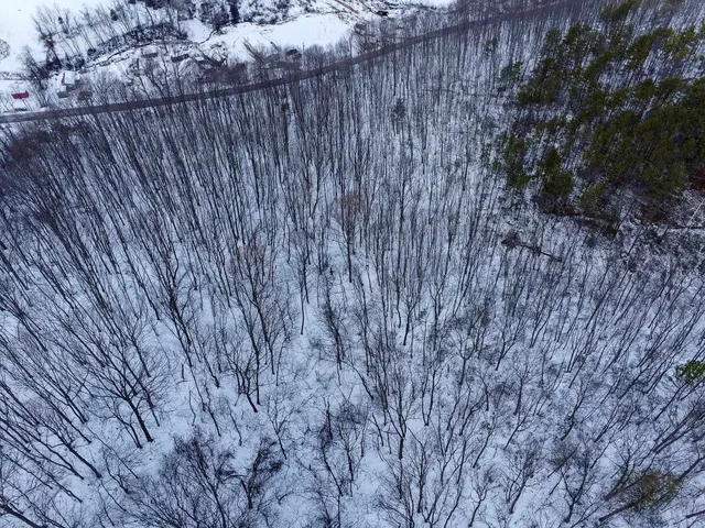 a view of a backyard with side of the road