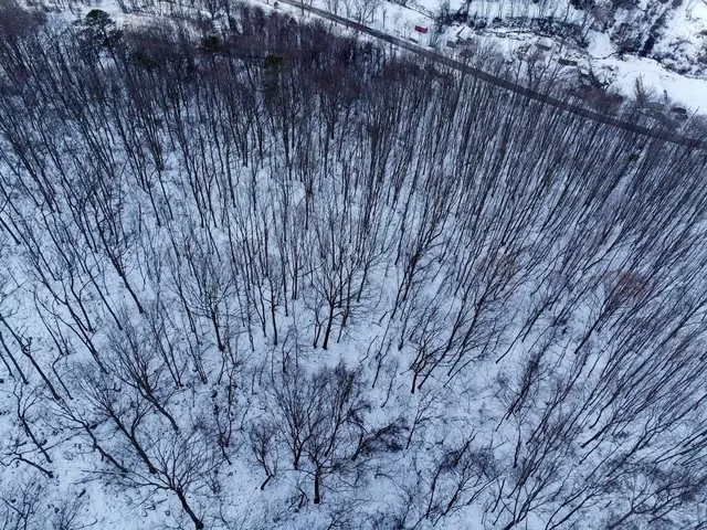 a view of a dry yard with mountains in the background