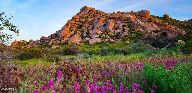 $235,000 | 138-xx East Dove Valley Road, Scottsdale, AZ 85262