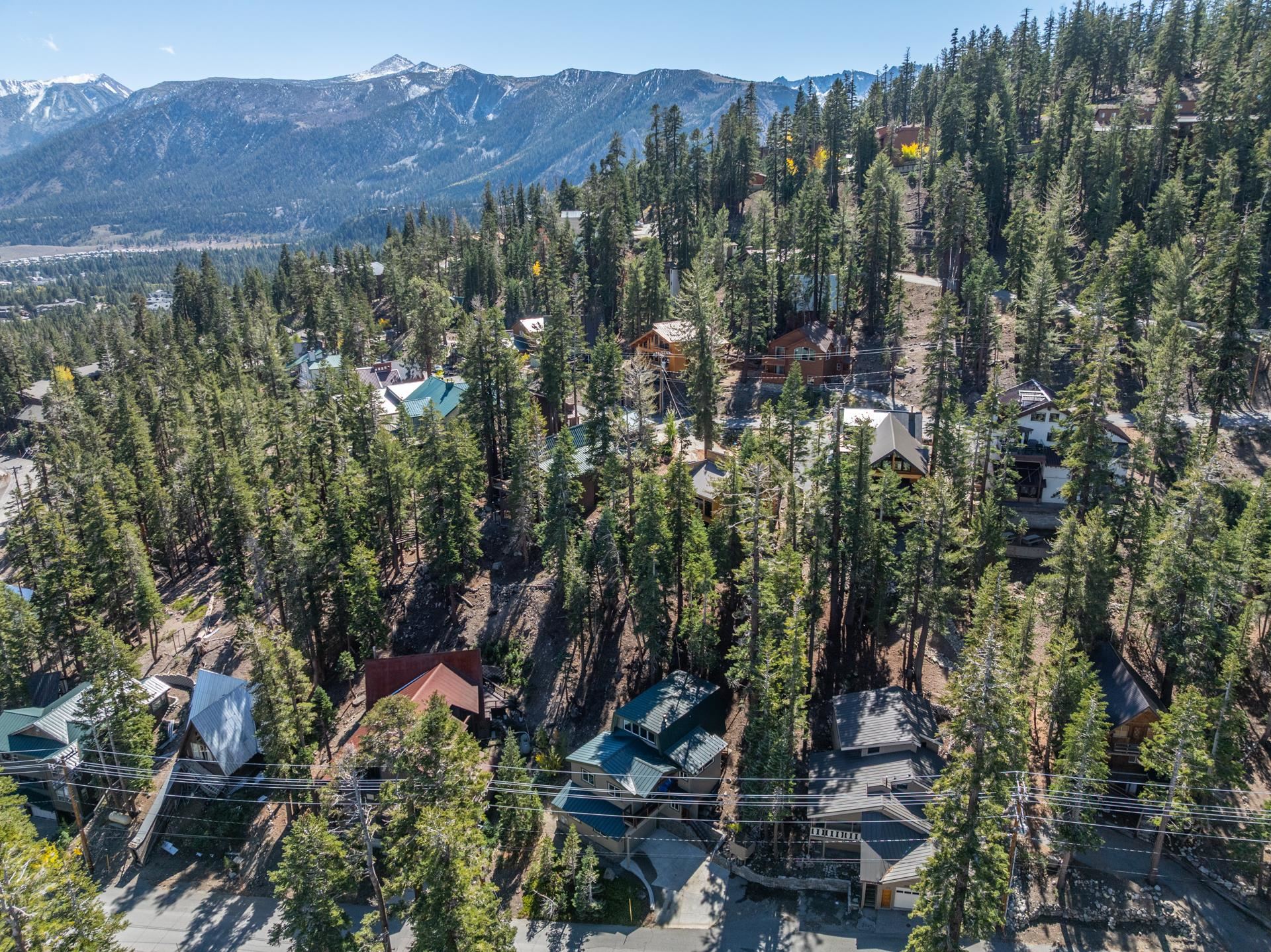 349 Davison Road Mammoth Lakes, CA 93546 - Photo 39 of 43 Bird's eye view of mountains and a heavily wooded area