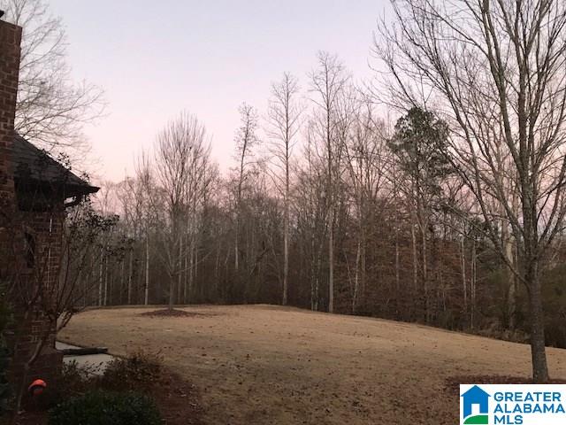 313 Strathaven Road Pelham, AL 35124 - Photo 7 of 7