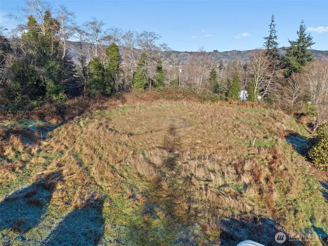 a view of a dry yard with trees in the background