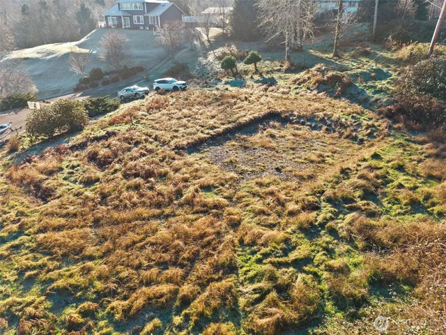 a view of a wooden floor with a tree