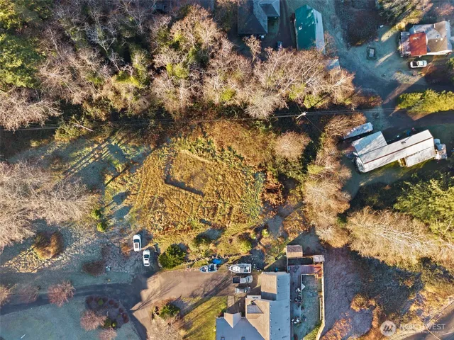 a view of a tree with a yard