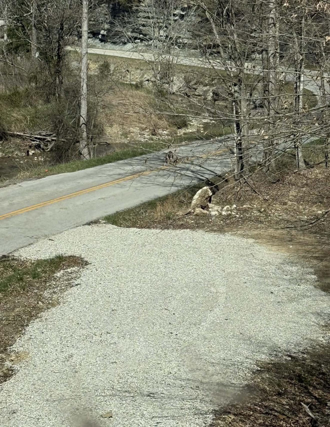 0 South Fork Road Stanton, KY 40380 - Photo 21 of 24 IMG_3206