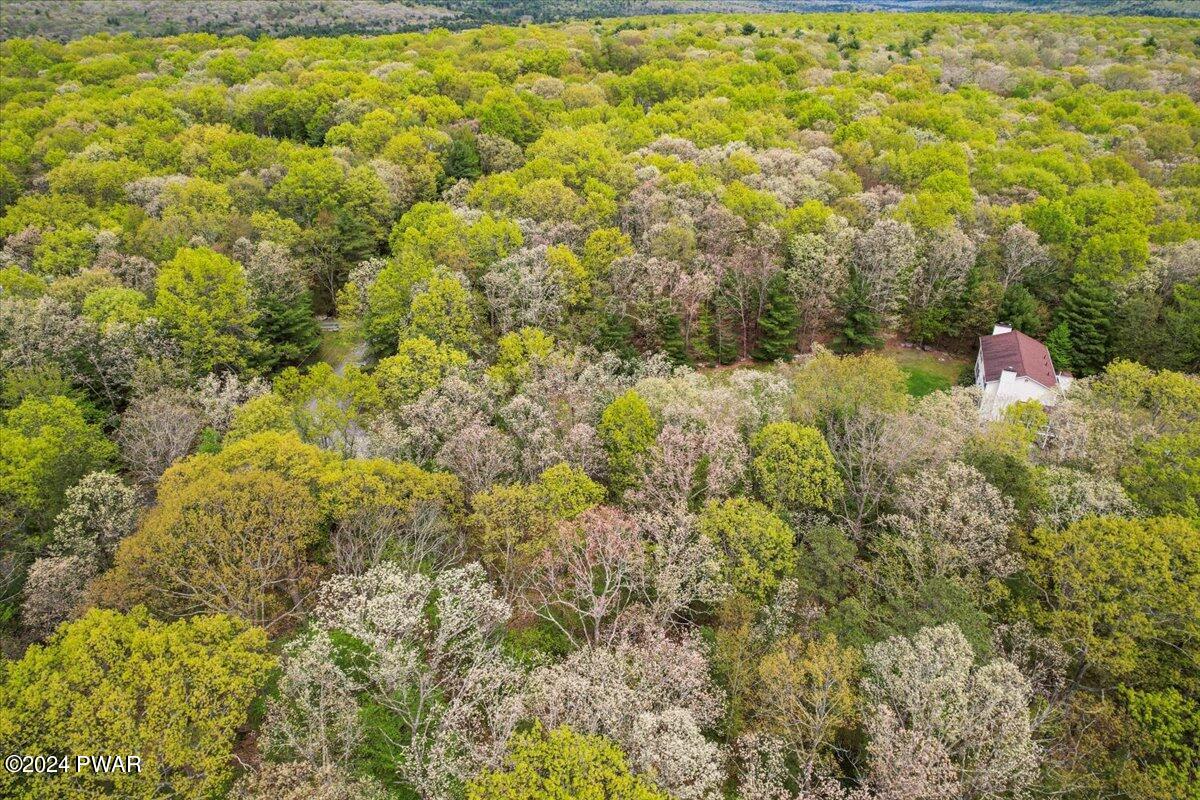 Lot 7 Long Pine Road Greeley, PA 18425 - Photo 1 of 2