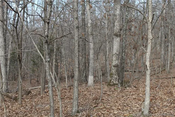 $19,500 | 27607 Cathy Drive, Gravois Mills, MO 65037