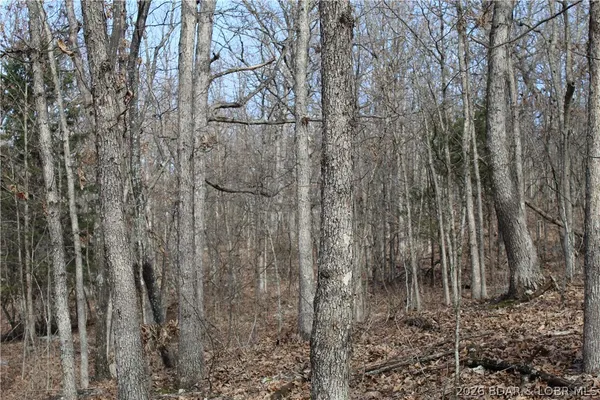 $19,500 | 27607 Cathy Drive, Gravois Mills, MO 65037