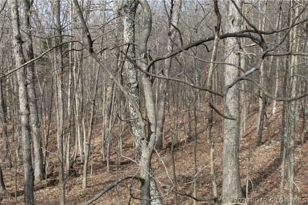 $19,500 | 27607 Cathy Drive, Gravois Mills, MO 65037