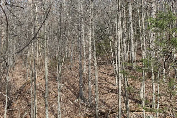 $19,500 | 27607 Cathy Drive, Gravois Mills, MO 65037