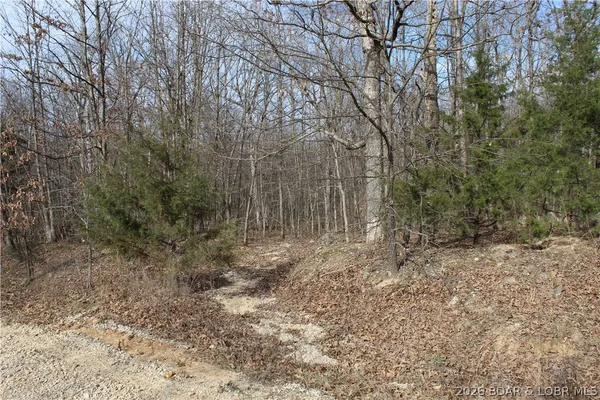 $19,500 | 27607 Cathy Drive, Gravois Mills, MO 65037