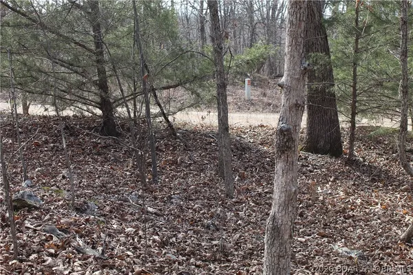 $19,500 | 27607 Cathy Drive, Gravois Mills, MO 65037