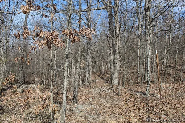 $19,500 | 27607 Cathy Drive, Gravois Mills, MO 65037