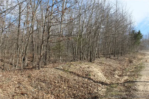 $19,500 | 27607 Cathy Drive, Gravois Mills, MO 65037