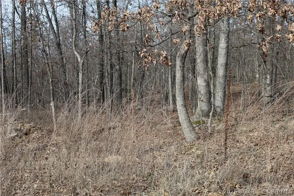 $19,500 | 27607 Cathy Drive, Gravois Mills, MO 65037