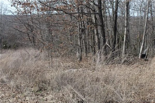 $19,500 | 27607 Cathy Drive, Gravois Mills, MO 65037