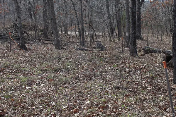 $19,500 | 27607 Cathy Drive, Gravois Mills, MO 65037