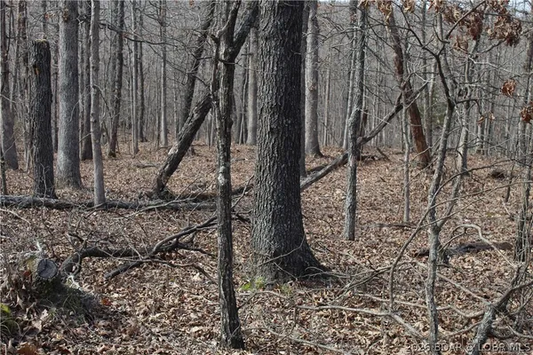 $19,500 | 27607 Cathy Drive, Gravois Mills, MO 65037