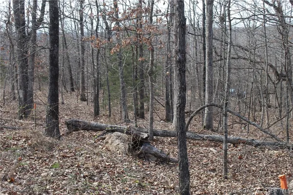 $19,500 | 27607 Cathy Drive, Gravois Mills, MO 65037