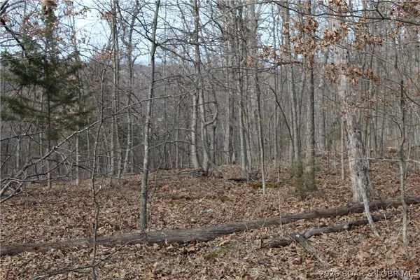 $19,500 | 27607 Cathy Drive, Gravois Mills, MO 65037