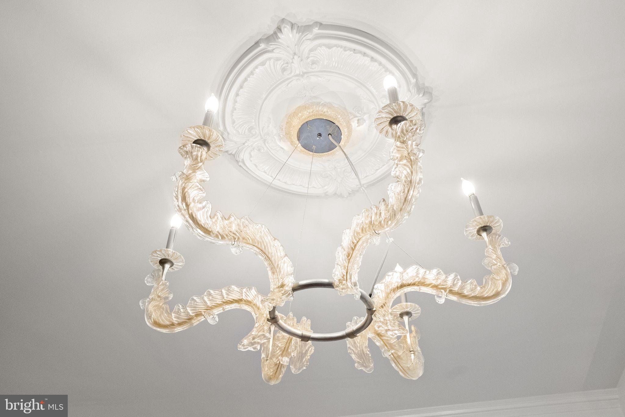 4613 Charleston Terrace Northwest Washington, DC 20007 - Photo 12 of 114 Crystal Chandelier
