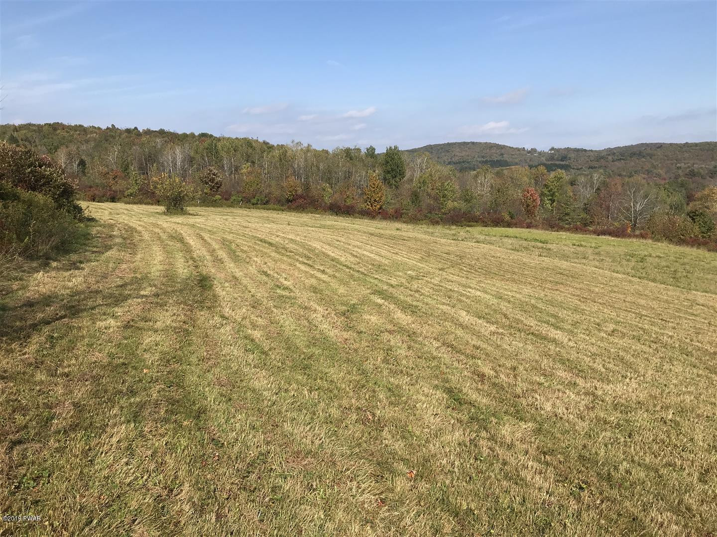 695 Pine Mill Road Equinunk, PA 18417 - Photo 53 of 68