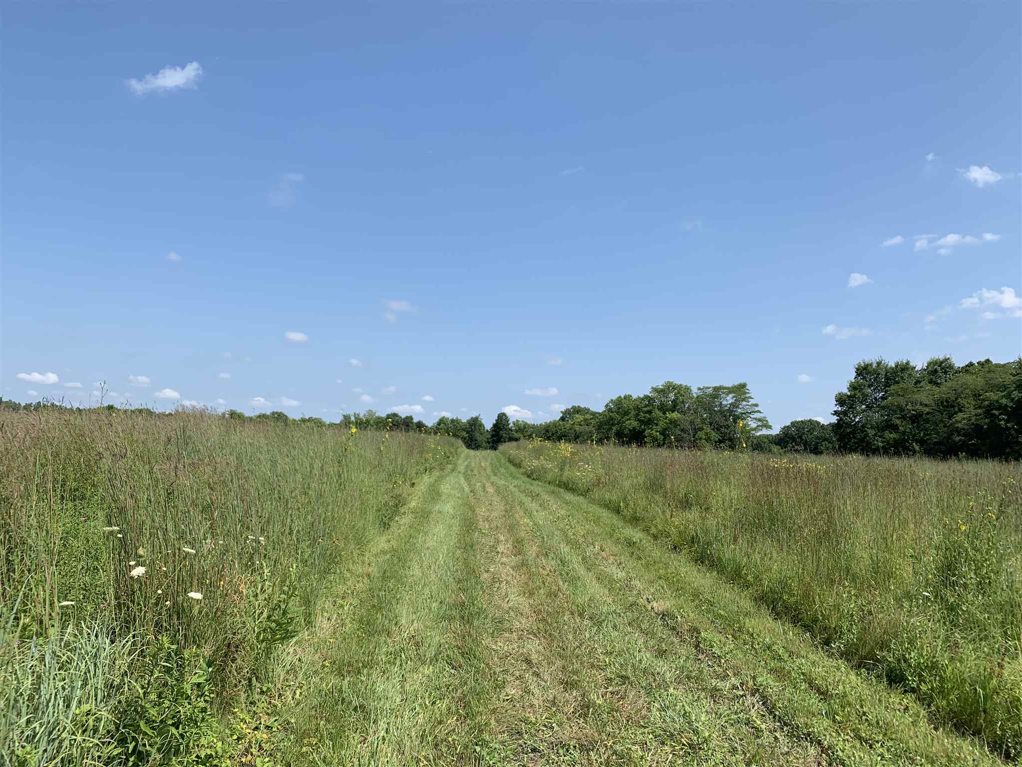3600 West Division Road Huntington, IN 46750 - Photo 14 of 35 Gallery Image 14