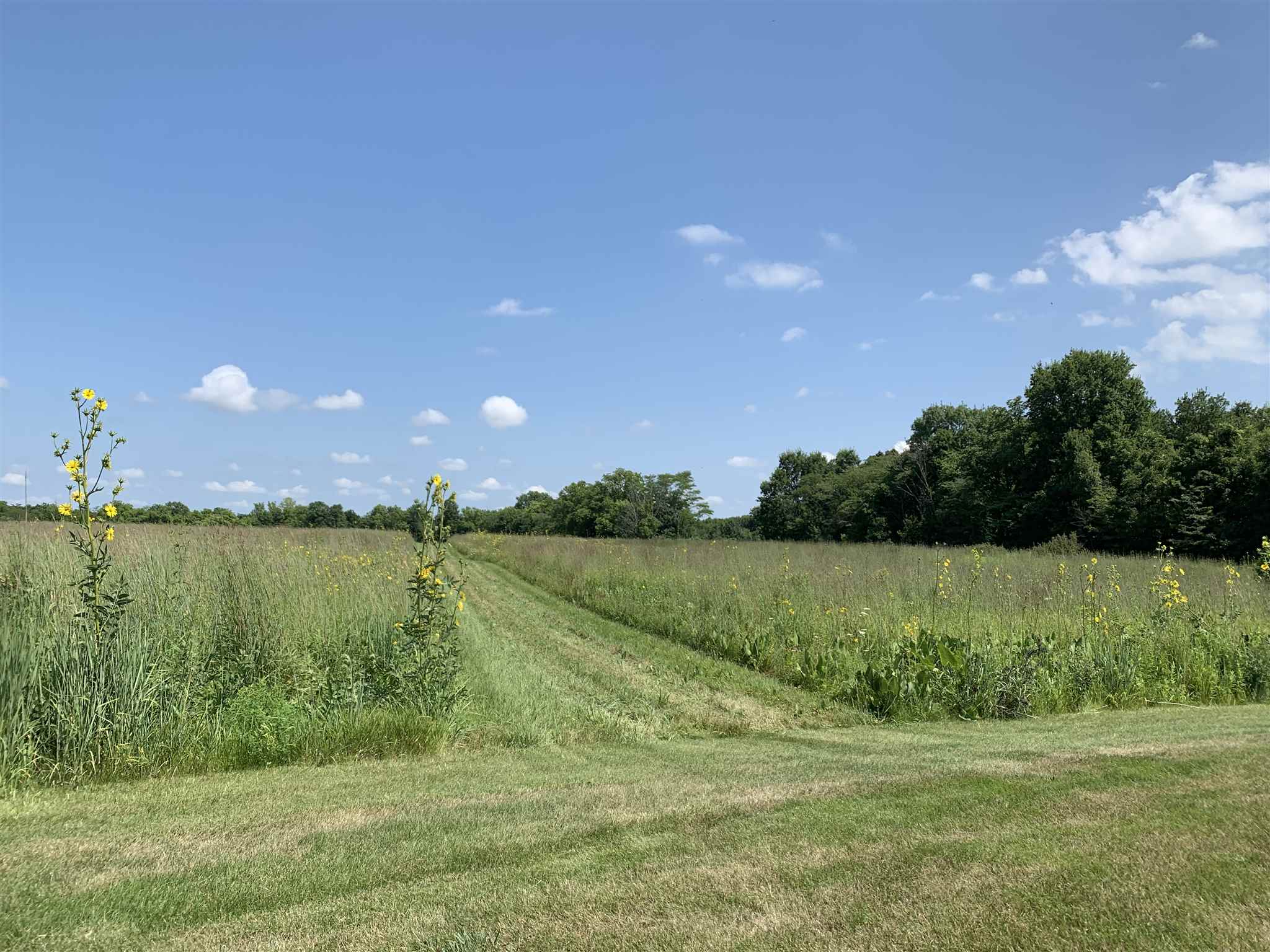 3600 West Division Road Huntington, IN 46750 - Photo 17 of 35 Gallery Image 17