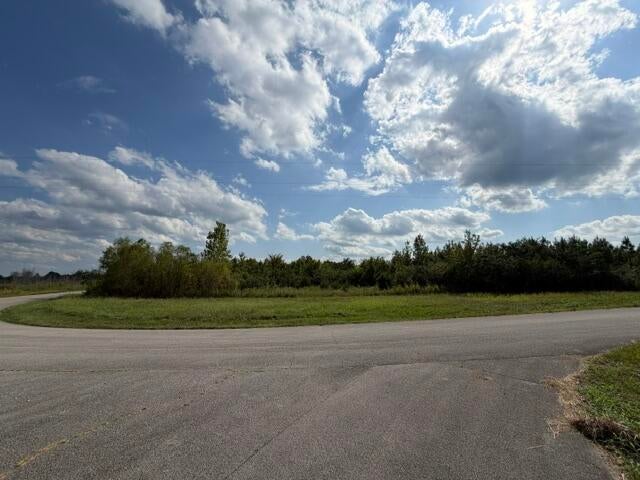 75 County Road Dennis, MS 38838 - Photo 13 of 13 Gallery Image 13