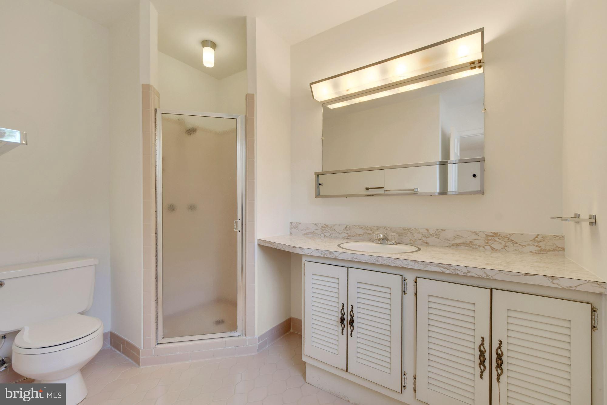 6719 Baron Road McLean, VA 22101 - Photo 13 of 26 Primary Bath