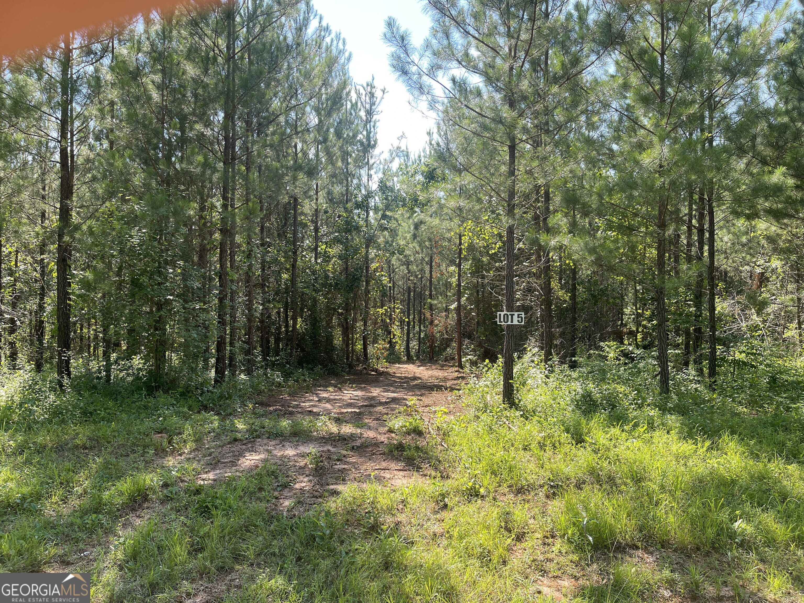 0 Bevis Rd Parcel 5 Franklin, GA 30217 - Photo 1 of 1 Gallery Image 1