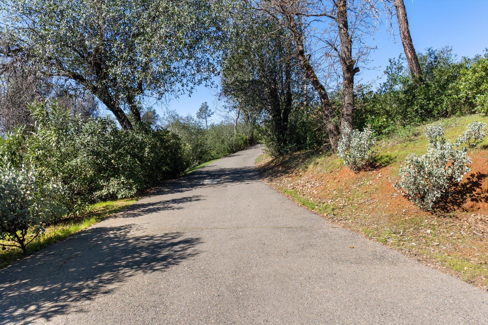 10067 Tilton Mine Road Redding, CA 96001 - Photo 45 of 62 a view of a road with a yard