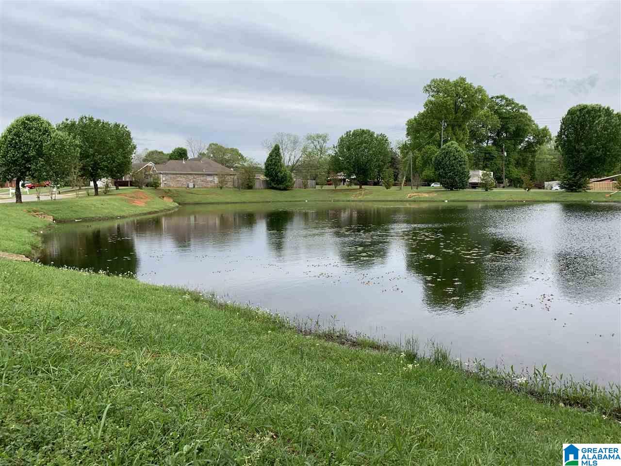 4422 Buttercup Lane Bessemer, AL 35022 - Photo 38 of 41