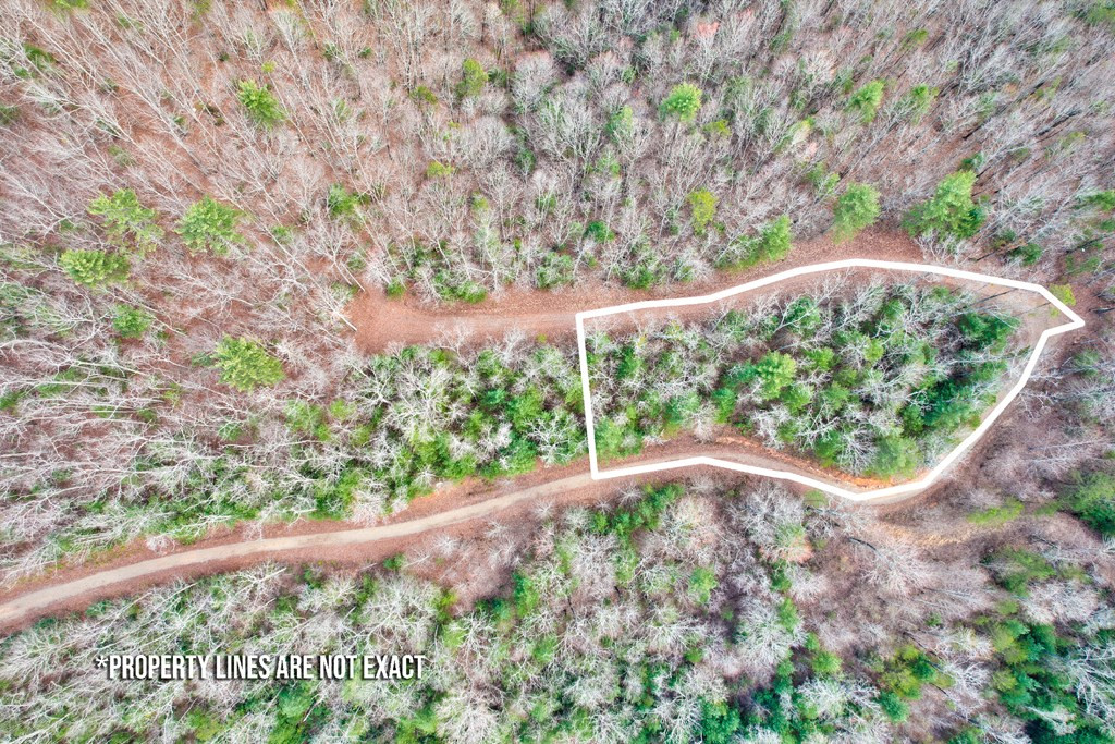 22-24 Rye Field Road Murphy, NC 28906 - Photo 3 of 26