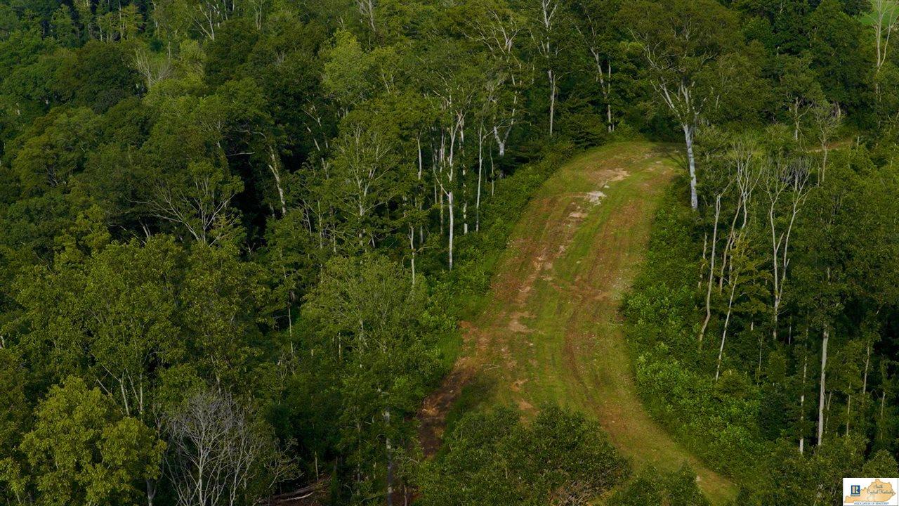 200 Scott-Marcum Road Summersville, KY 42782 - Photo 65 of 70 Gallery Image 65